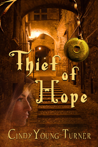 blogger book fair thief of hope