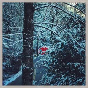 1472874_10152036068949771_38266852_n