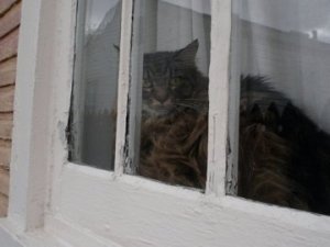 4412_82710799770_3761388_n